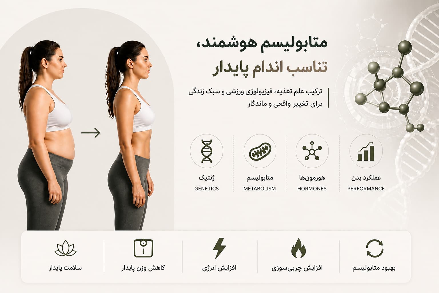 متابولیسم هوشمند، تناسب اندام پایدار